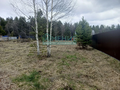 Продажа садового участка: г. Ревда, СОТ