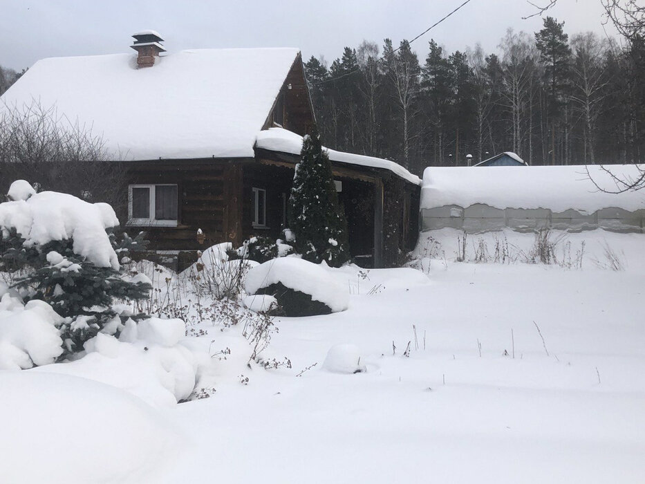 п. Зеленый бор, СНТ Яблоко, уч. 114 (городской округ Верхняя Пышма) - фото сада (4)