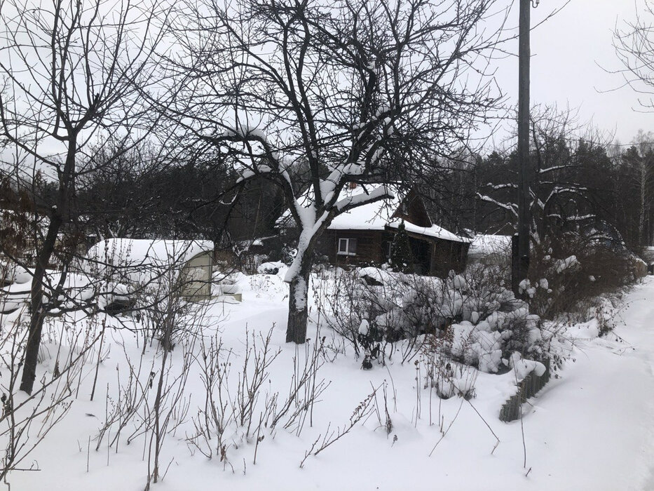 п. Зеленый бор, СНТ Яблоко, уч. 114 (городской округ Верхняя Пышма) - фото сада (5)