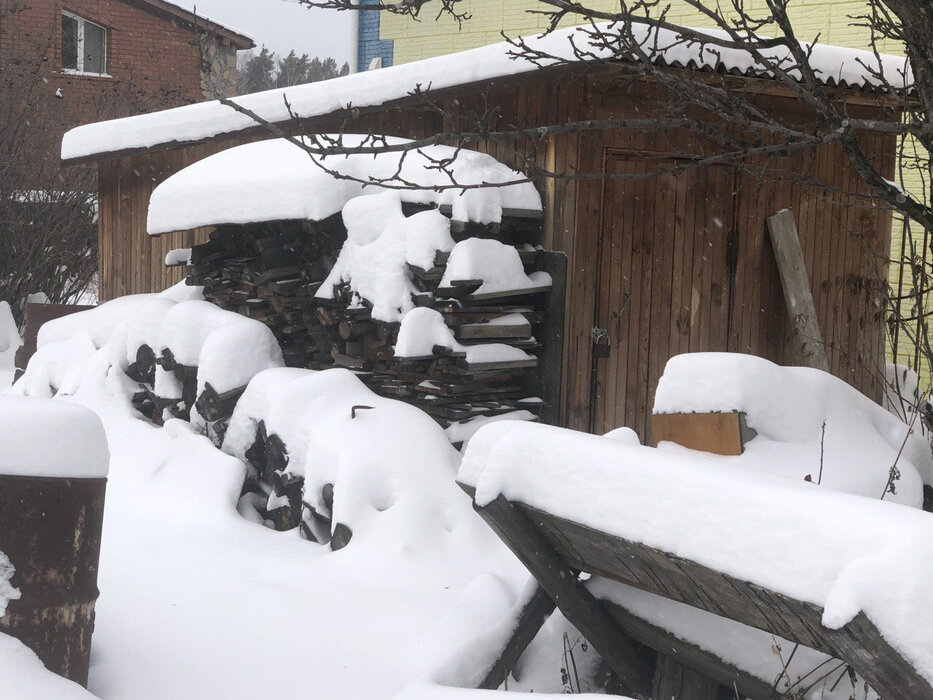п. Зеленый бор, СНТ Яблоко, уч. 114 (городской округ Верхняя Пышма) - фото сада (6)