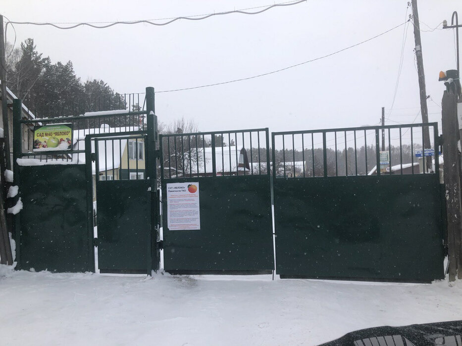 п. Зеленый бор, СНТ Яблоко, уч. 114 (городской округ Верхняя Пышма) - фото сада (7)