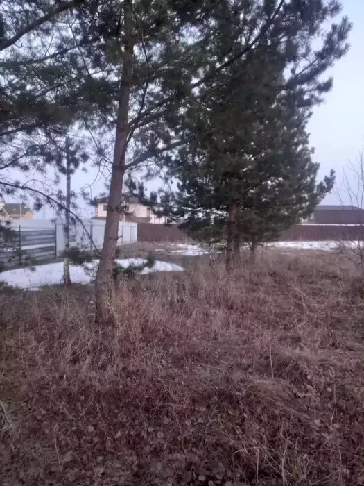 Екатеринбург, ул. Животноводов (Полеводство) - фото земельного участка (2)