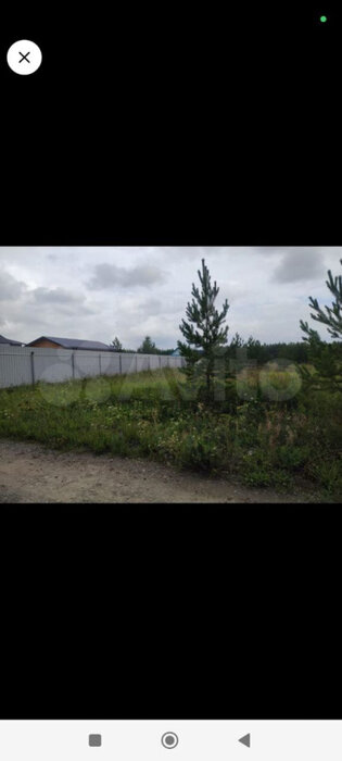 Екатеринбург, ул. Животноводов (Полеводство) - фото земельного участка (3)