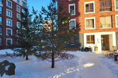 Екатеринбург, ул. Золотистый, 11 (Солнечный) - фото квартиры