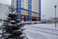 Екатеринбург, ул. Чкалова, 242 (УНЦ) - фото квартиры