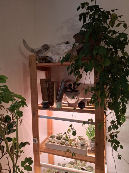 Екатеринбург, ул. 40-летия Комсомола, 35 (ЖБИ) - фото квартиры (3)