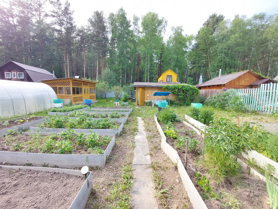 г. Нижний Тагил, снт. Железнодорожник, уч. 86 (городской округ Нижний Тагил) - фото сада (1)