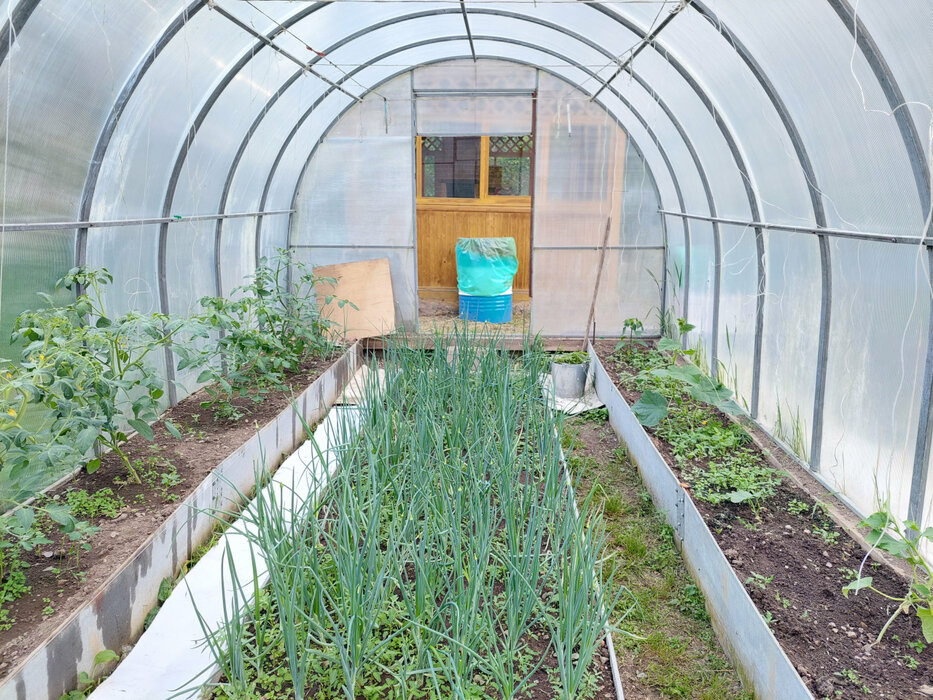 г. Нижний Тагил, снт. Железнодорожник, уч. 86 (городской округ Нижний Тагил) - фото сада (8)