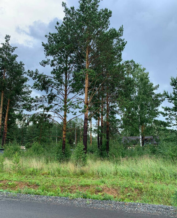к.п. Заповедник, ул. Снегири (городской округ Сысертский, п. Габиевский) - фото земельного участка (1)
