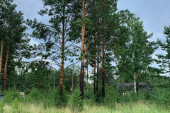 к.п. Заповедник, ул. Снегири (городской округ Сысертский, п. Габиевский) - фото земельного участка