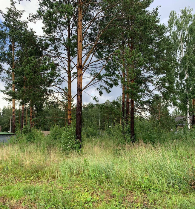 к.п. Заповедник, ул. Снегири (городской округ Сысертский, п. Габиевский) - фото земельного участка (2)