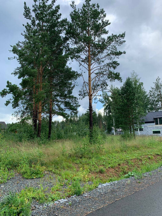 к.п. Заповедник, ул. Снегири (городской округ Сысертский, п. Габиевский) - фото земельного участка (3)