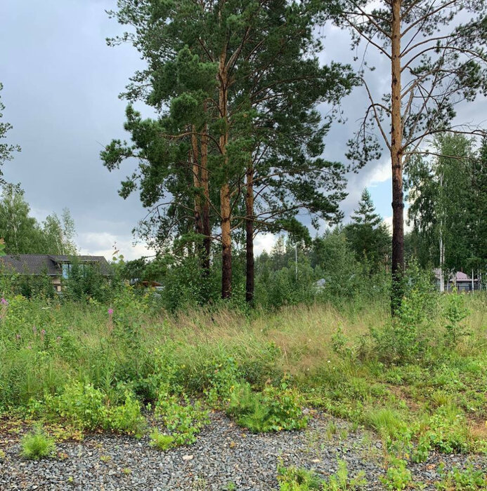к.п. Заповедник, ул. Снегири (городской округ Сысертский, п. Габиевский) - фото земельного участка (4)