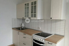 Екатеринбург, ул. Дружининская, 5А (Старая Сортировка) - фото квартиры