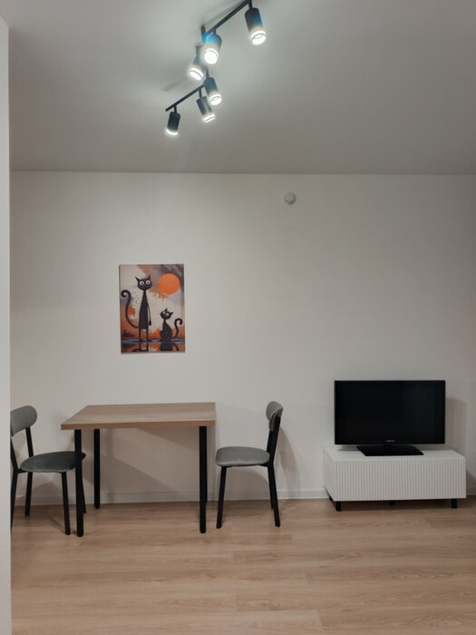 Екатеринбург, ул. Михаила Ананьева, 4 (Центр) - фото квартиры (3)