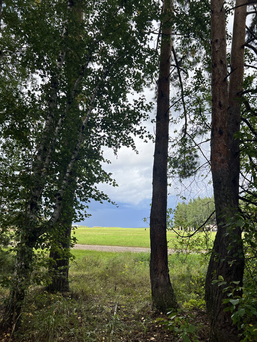 с. Кадниково, ул. СНТ Полесье (городской округ Сысертский) - фото земельного участка (1)