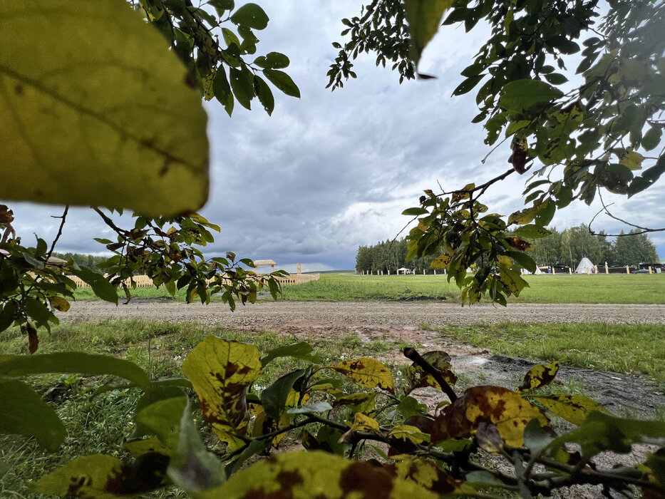 с. Кадниково, ул. СНТ Полесье (городской округ Сысертский) - фото земельного участка (5)