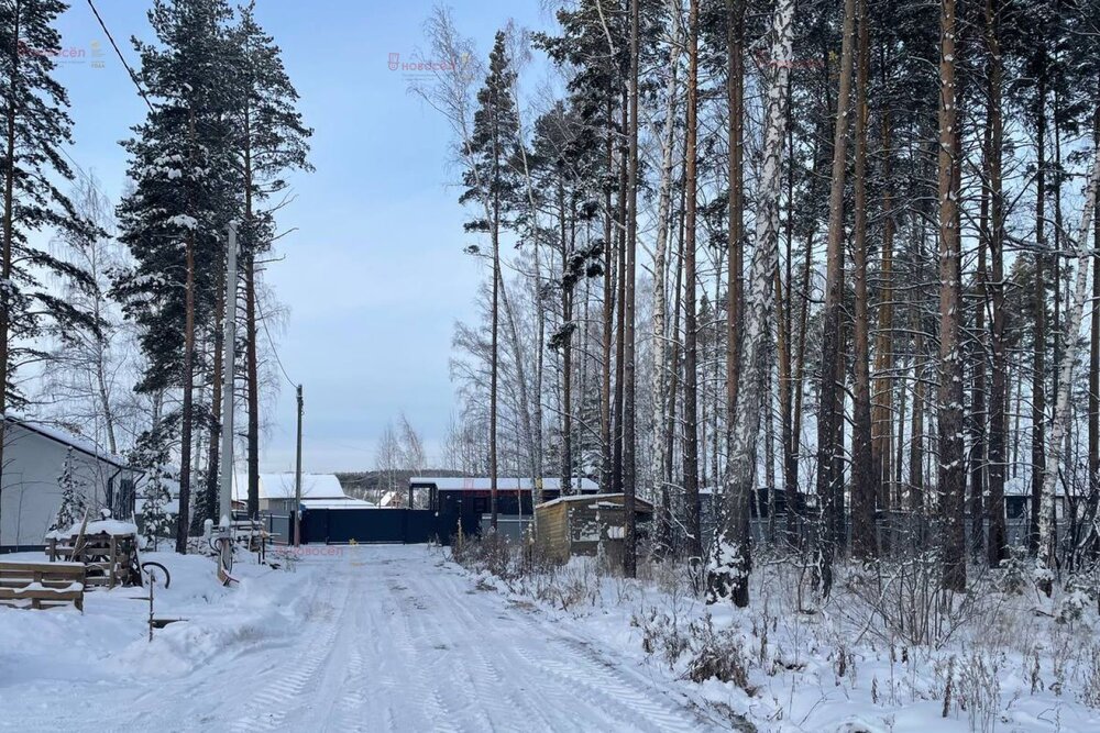 к.п. Первомайский парк, ул. Васильковая,   (городской округ Сысертский) - фото коттеджа (3)