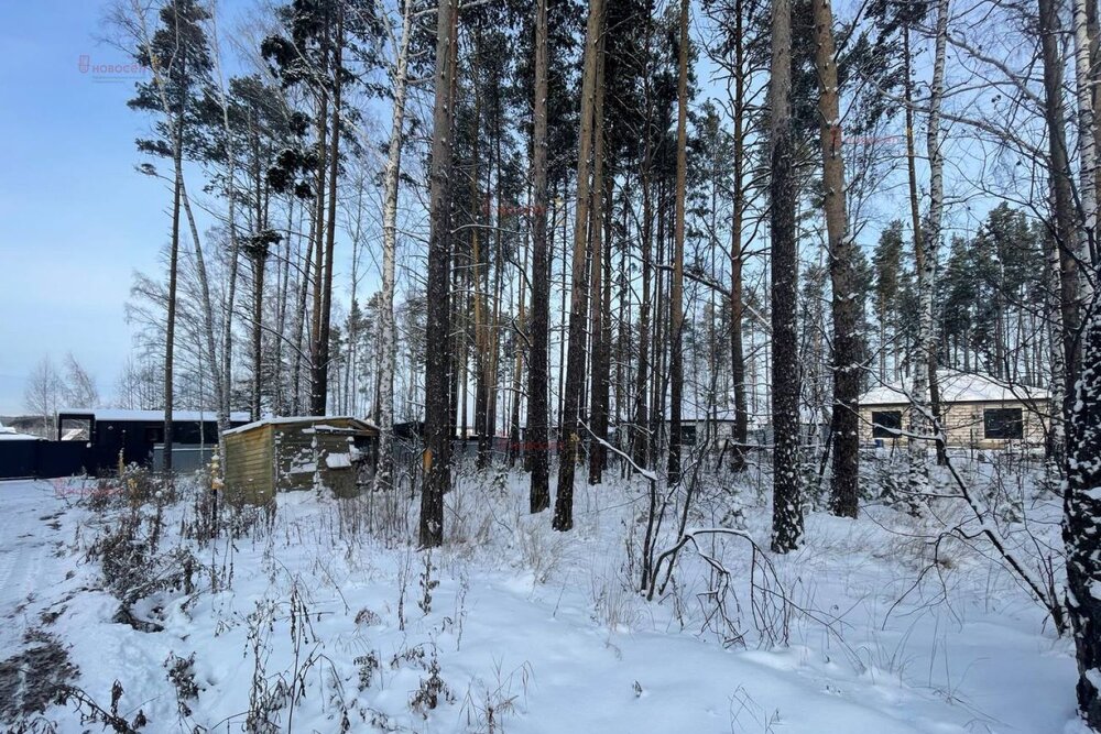 к.п. Первомайский парк, ул. Васильковая,   (городской округ Сысертский) - фото коттеджа (4)