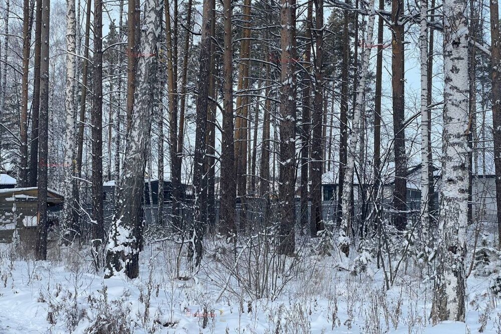 к.п. Первомайский парк, ул. Васильковая,   (городской округ Сысертский) - фото коттеджа (6)