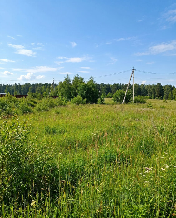 Екатеринбург, ул. Кордон Шиловский (Горный щит) - фото земельного участка (12)
