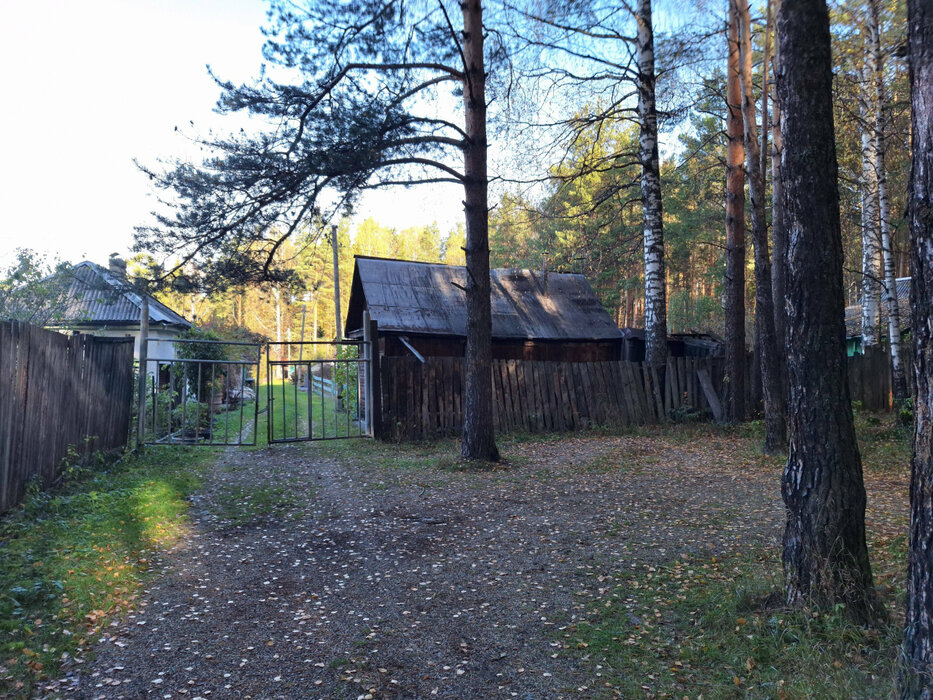 г. Нижний Тагил, снт. Железнодорожник (городской округ Нижний Тагил) - фото сада (2)