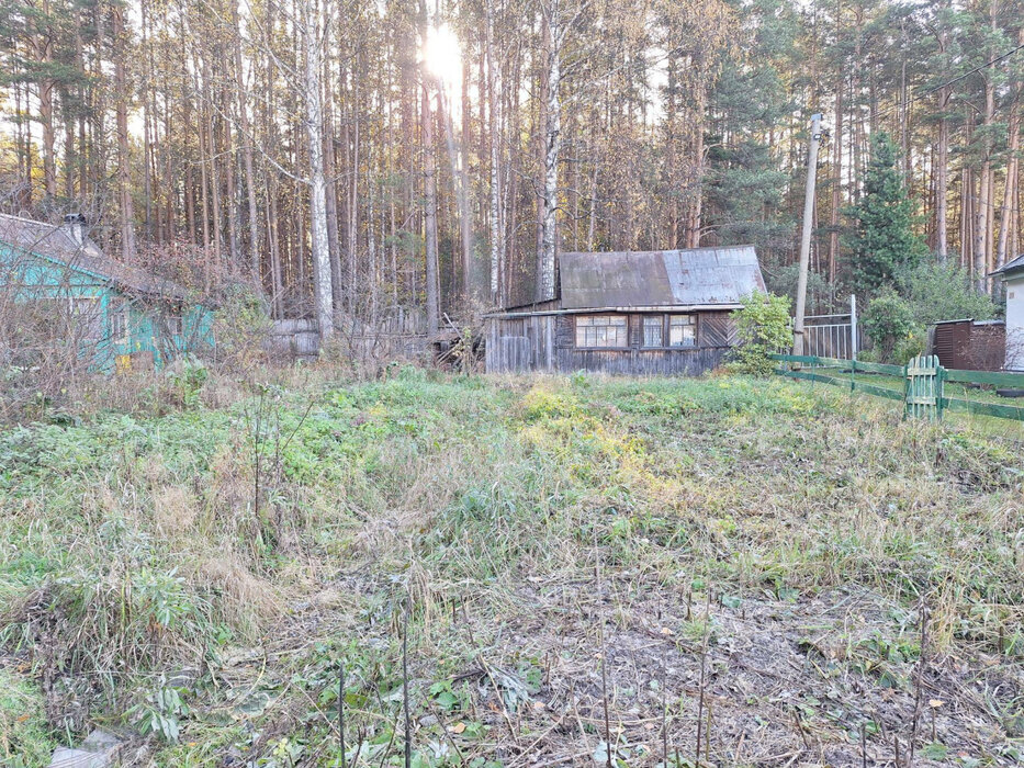 г. Нижний Тагил, снт. Железнодорожник (городской округ Нижний Тагил) - фото сада (4)