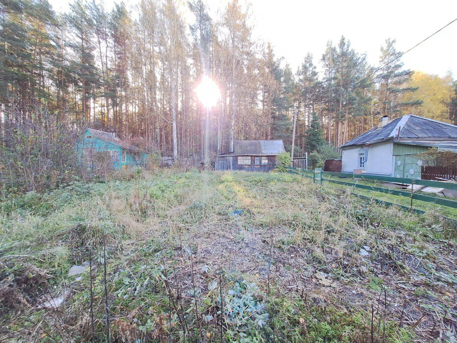 г. Нижний Тагил, снт. Железнодорожник (городской округ Нижний Тагил) - фото сада (5)