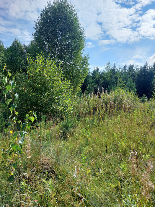 г. Верхняя Пышма, ул. Демидовский (городской округ Верхняя Пышма) - фото земельного участка (4)