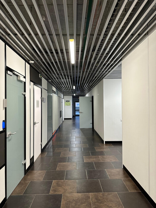 Екатеринбург, ул. Шейнкмана, 55 (Центр) - фото офисного помещения (4)