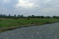 Екатеринбург, ул. Совхозная (Шабровский) - фото земельного участка