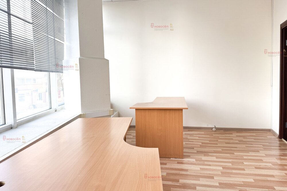 Екатеринбург, ул. Кузнечная, 81 (Центр) - фото офисного помещения (5)