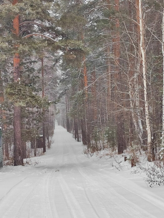 Екатеринбург, снт. Опора (кад.кв-л, уч. 0606008) - фото сада (7)