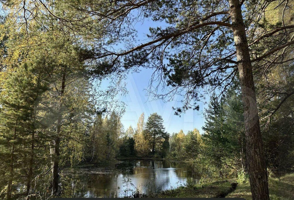 Екатеринбург, ул. Кордон Шиловский - фото земельного участка (8)