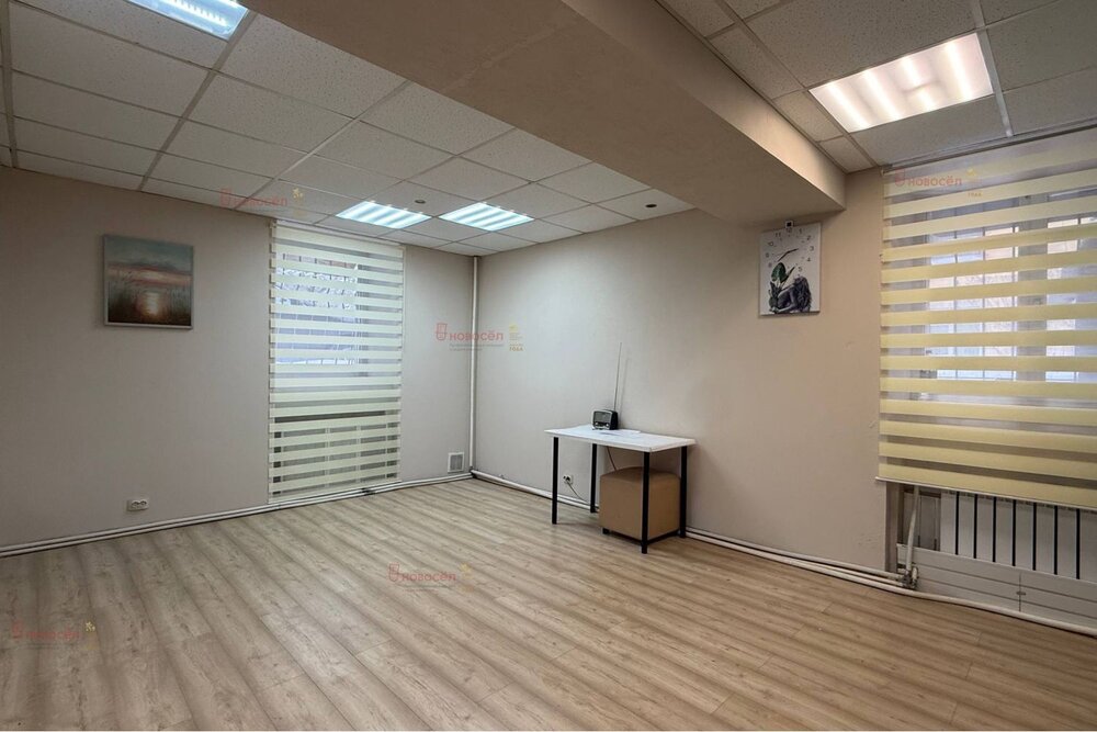 Екатеринбург, ул. Челюскинцев, 64 А (Центр) - фото офисного помещения (4)