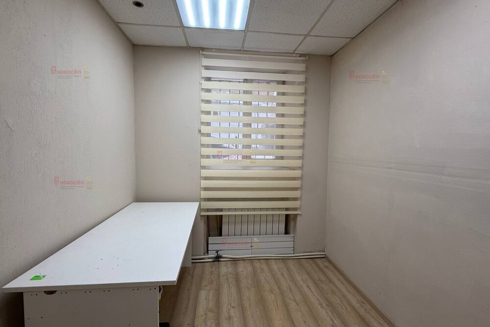 Екатеринбург, ул. Челюскинцев, 64 А (Центр) - фото офисного помещения (6)