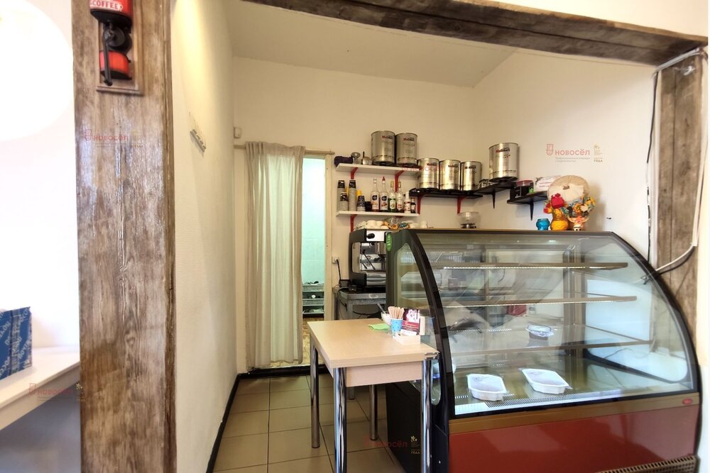 Екатеринбург, ул. Мичурина, 56 (Центр) - фото торговой площади (5)