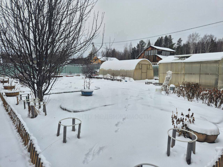 п. Растущий, к/с Сокол-2 (городской округ Белоярский) - фото сада (5)