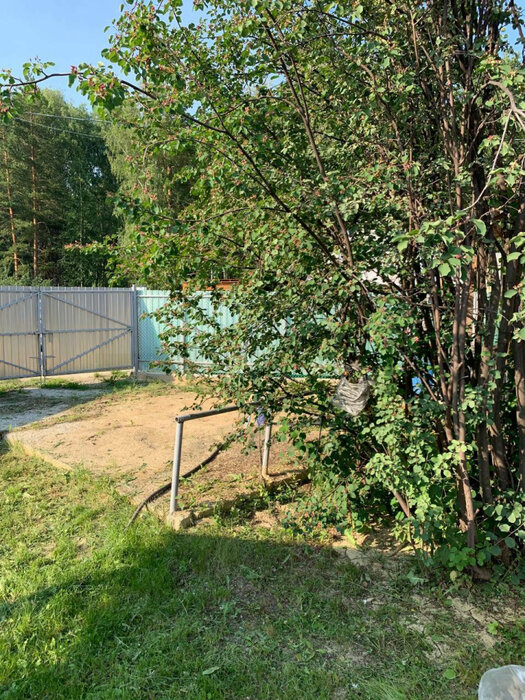 п. Растущий, к/с Сокол-2 (городской округ Белоярский) - фото сада (7)