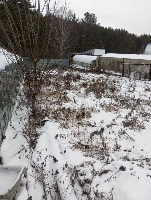 п. Полевой, к/с Улыбка (городской округ Сысертский) - фото сада (2)
