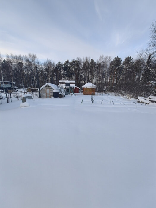 г. Верхняя Пышма, тер. СНТ. Мираж (городской округ Верхняя Пышма) - фото сада (5)