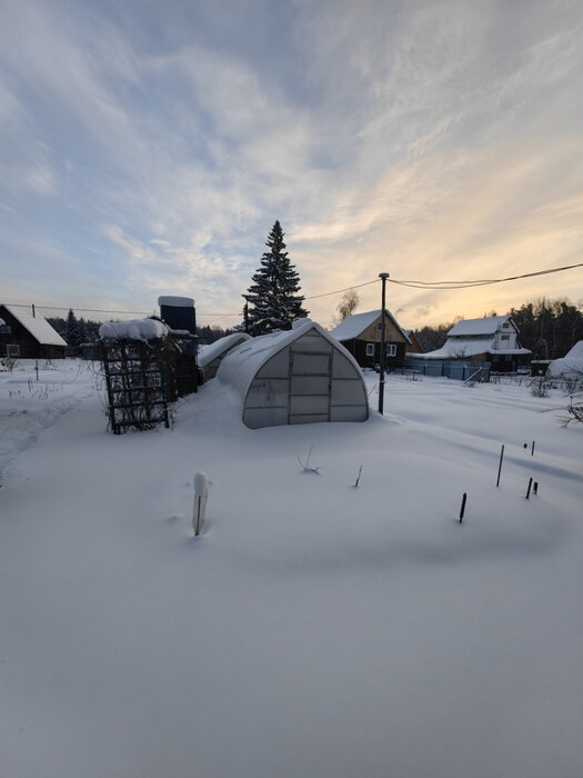 г. Верхняя Пышма, тер. СНТ. Мираж (городской округ Верхняя Пышма) - фото сада (6)