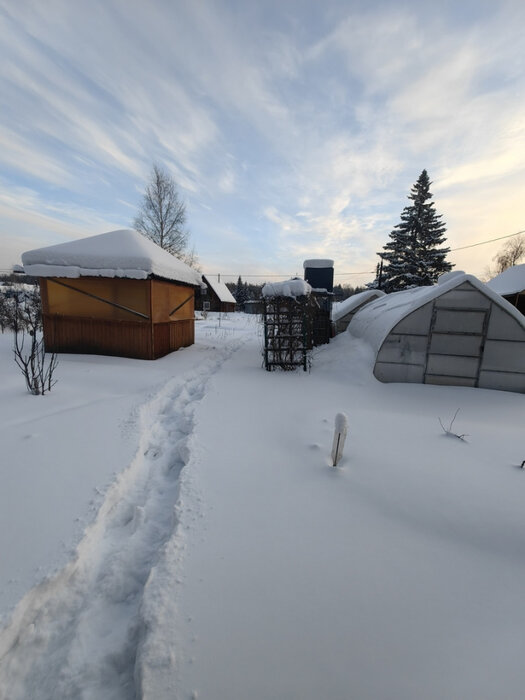 г. Верхняя Пышма, тер. СНТ. Мираж (городской округ Верхняя Пышма) - фото сада (7)