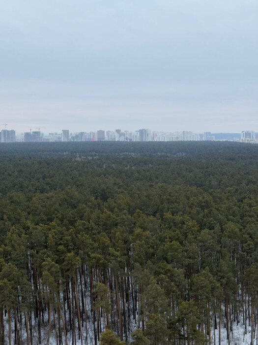 Екатеринбург, ул. Отрадная, 1 (ВИЗ) - фото квартиры (8)