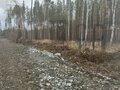 Продажа земельного участка: к.п. Лесная Поляна (Екатеринбург, с. Горный щит) - Фото 1