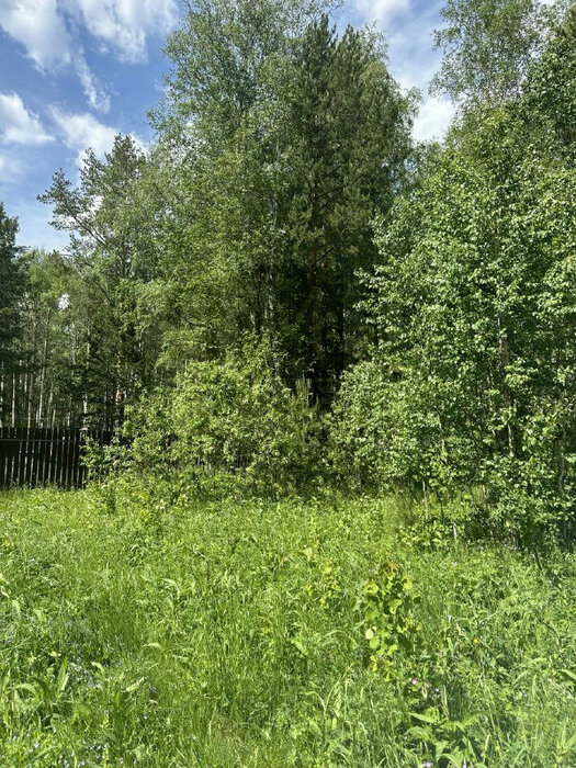 поселок городского типа Белоярский, ул. КСП «Косулинское» (городской округ Белоярский) - фото земельного участка (1)