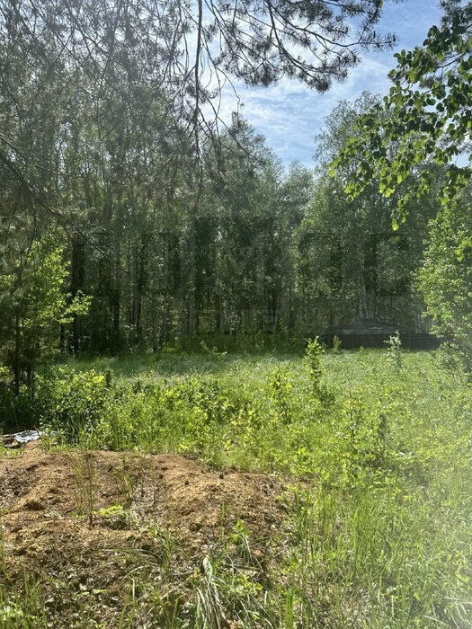 поселок городского типа Белоярский, ул. КСП «Косулинское» (городской округ Белоярский) - фото земельного участка (2)