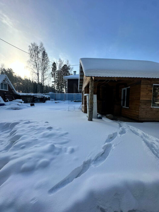 Екатеринбург, СНТ Строитель (Нижне-Исетский) - фото сада (5)