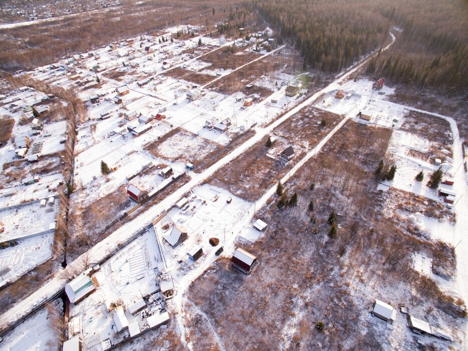 п. Красный Адуй, СНТ Гарант (городской округ Верхняя Пышма) - фото сада (8)