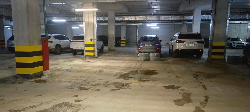 Екатеринбург, ул. Чкалова, 231 (УНЦ) - фото гаража (1)